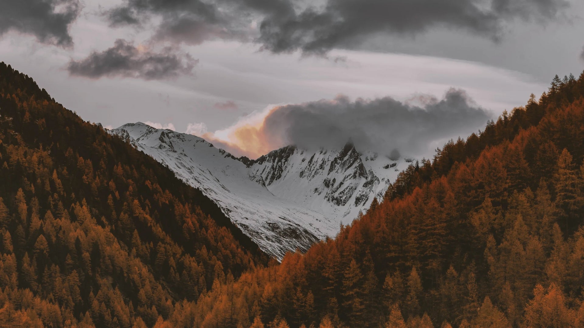 Wunderschöne Naturlandschaft – Vladura Glam spendet 1 € pro Kauf für Umwelt & wohltätige Projekte